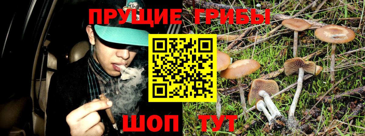 Галлюциногенные грибы мухоморы  Вход с VPN  Югорск 